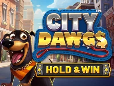 City Dawgs 