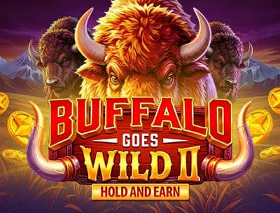 Buffalo Goes Wild II