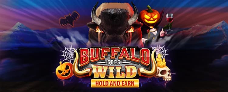 Buffalo Goes Wild