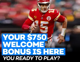 bovada 49ers