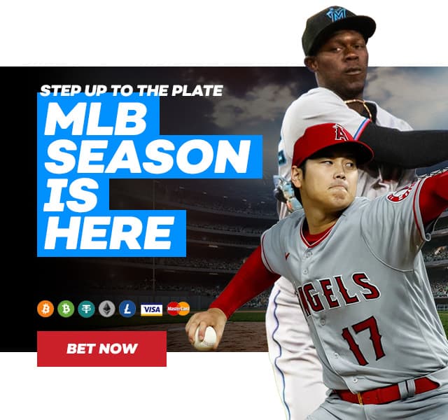 MLB Betting Guide  How To Bet On MLB  Bovada