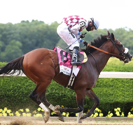 Bovada Lv Help | semashow.com