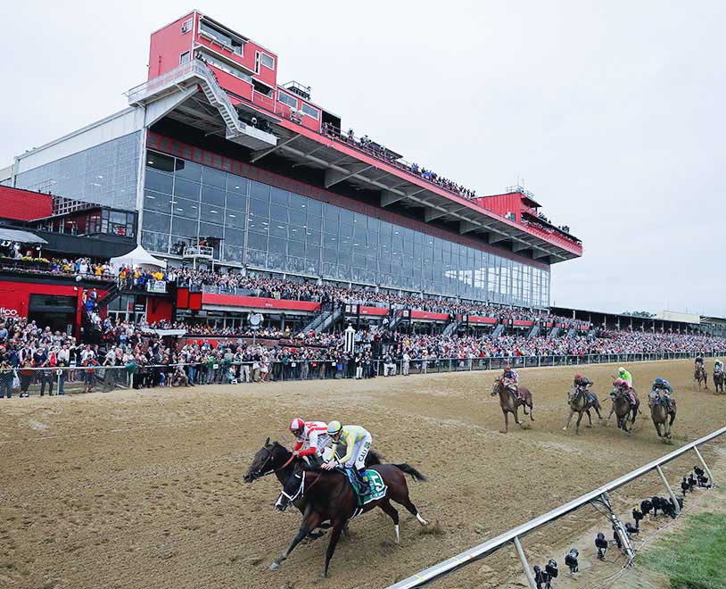 How to bet on the Preakness Stakes