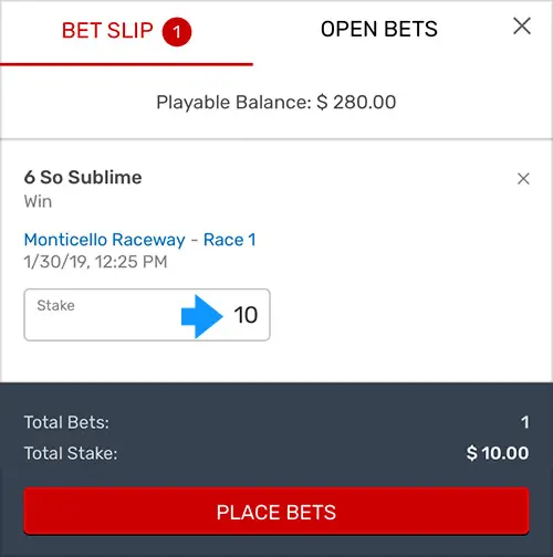 horses-bet-slip