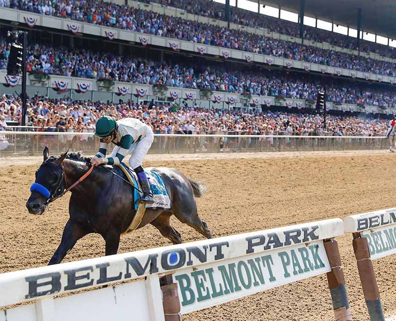 Belmont Stakes Betting Guide