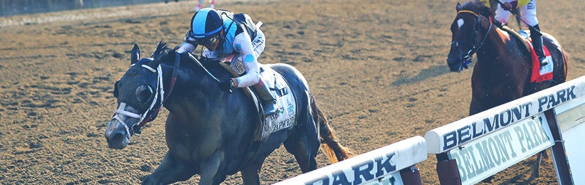 2017 Belmont Stakes Betting Recap - Bovada