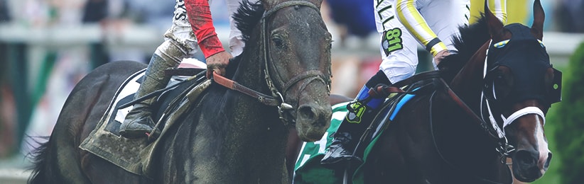 2017 Belmont Stakes Betting Preview - Bovada