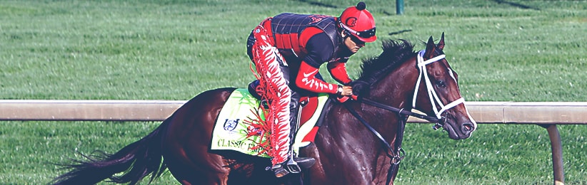 Early Belmont Stakes Preview: The Contenders - Bovada