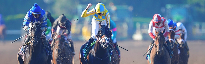 See our early 2017 Kentucky Derby odds and bet online at Bovada Sportsbook