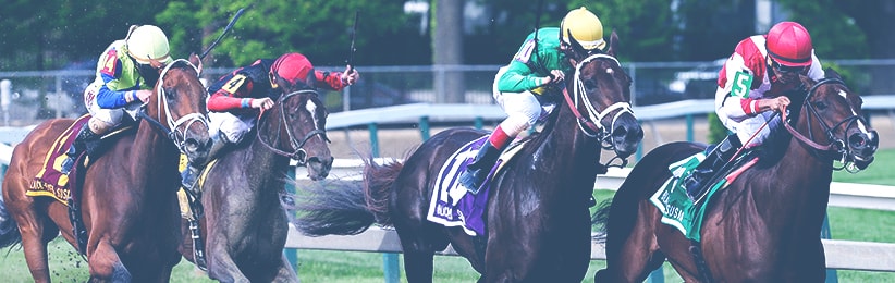 Different Ways to Bet on the Preakness Stakes - Bovada Racebook