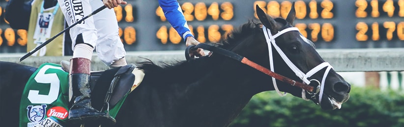 2017 Preakness Stakes Preview: A Two-Horse Race? - Bovada