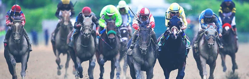Cloud Computing Surprises at 2017 Preakness Stakes - Bovada