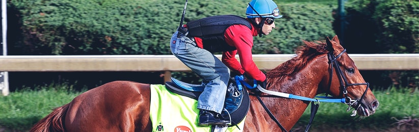 2017 Breeders’ Cup Classic Odds: Gun Runner on Top - Bovada Racebook 