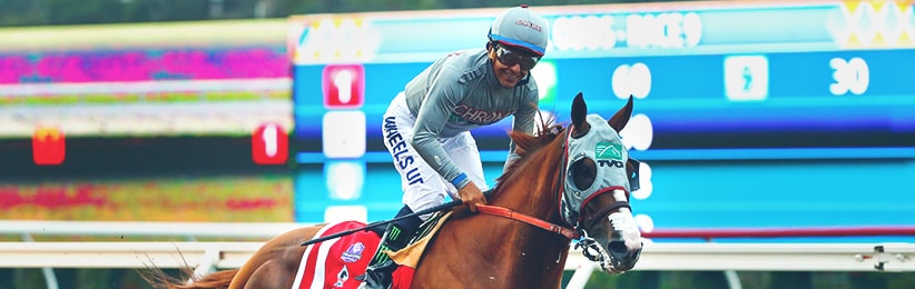 California Chrome Clear Classic Chalk