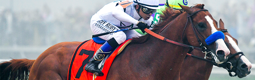 2018 Belmont Stakes Odds: Justify on Top in the Slop?