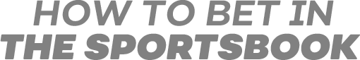 How to bet in the sportsbook